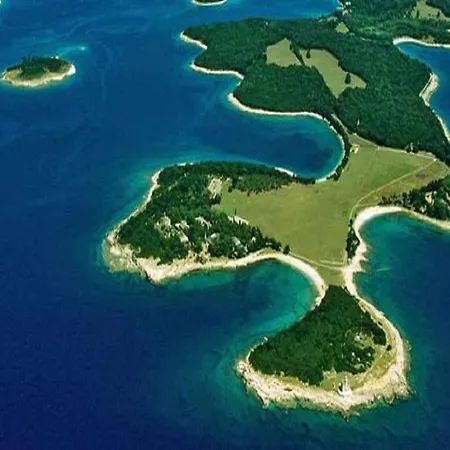 Davorka